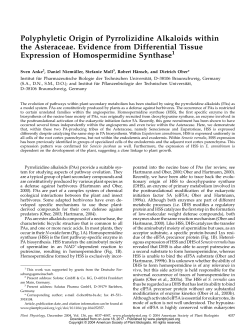 Polyphyletic Origin of Pyrrolizidine Alkaloids within