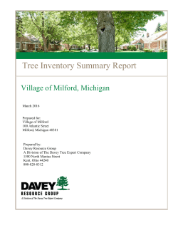 Tree Inventory Summary Report