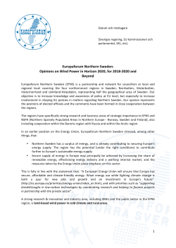 Europaforum Northern Sweden: Opinions on Wind Power in Horizon