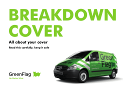 - Green Flag