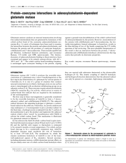 Protein coenzyme interactions by ITC 42
