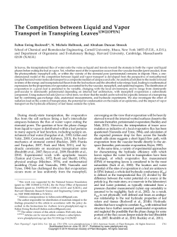 The Competition between Liquid and Vapor