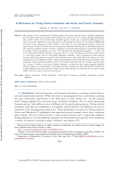 A Mechanism for Turing Pattern Formation with Active and Passive