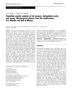 Population genetic analysis of red grouper, Epinephelus