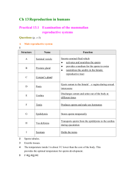 Ch 13 - sjacs.