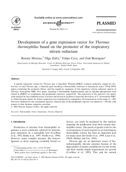 Development of a gene expression vector for Thermus