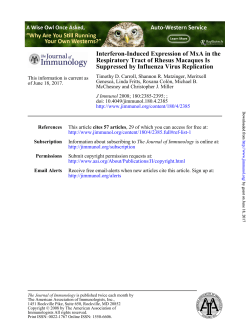 Interferon-Induced Expression of MxA in the Respiratory Tract of