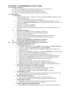 chapter 13 arthropods study guide