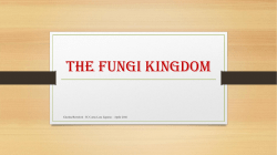 the fungi kingdom