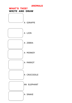 animals what`s this? write and draw