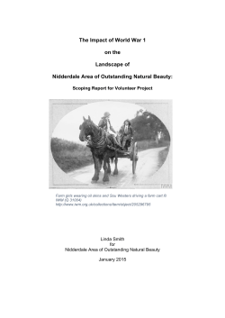 The Impact of World War 1 on the Landscape of