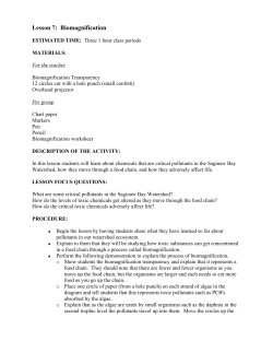 Lesson 7: Biomagnification
