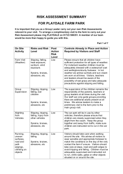 RISK ASSESSMENT SUMMARY