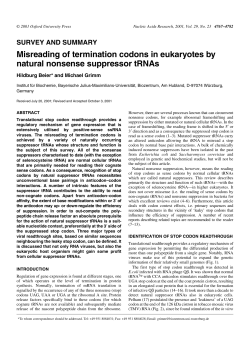Misreading of termination codons in eukaryotes by natural nonsense