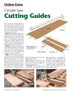 Circular Saw Cutting Guides