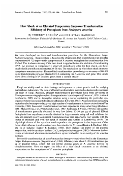 Heat Shock at an Elevated Temperature Improves Transformation