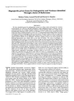 Magnaporthe grisea Genes for Pathogenicity and