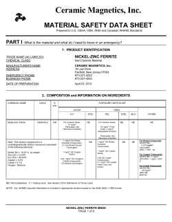 NiZn - Ceramic Magnetics, Inc.