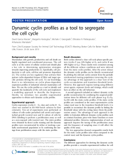 Dynamic cyclin profiles as a tool to segregate the cell cycle