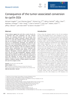 Consequence of the tumorassociated conversion to cyclin D1b