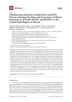 Full-Text PDF