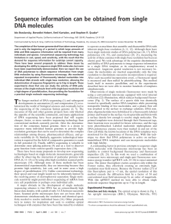 Sequence information can be obtained from single DNA molecules