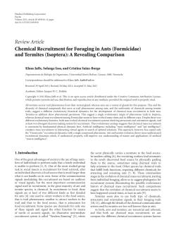 (Formicidae) and Termites (Isoptera): A Revealing Comparison