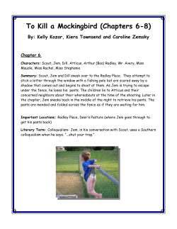 To Kill a Mockingbird (Chapters 6-8)