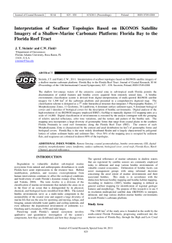Interpretation of Seafloor Topologies Based on IKONOS