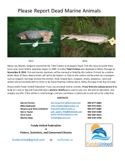 Report Fundy Marine Animal Kills Poster - redsky