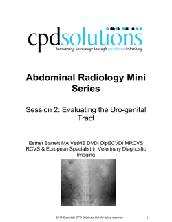 to the Session 2 notes