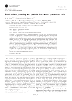 Shock-driven jamming and periodic fracture of particulate rafts