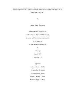 SOUTHERN IDENTITY: THE MEANING