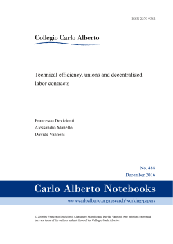 Technical efficiency, unions and decentralized labor contracts
