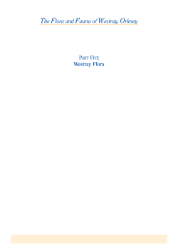 4291 mammals - Westray and Papa Westray