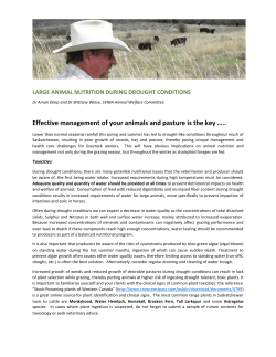 Large Animal Nutrition During Drought Conditions