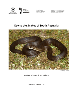 Key to the Snakes of South Australia