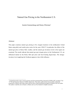 Full Paper - MIT Center for Energy and Environmental Policy Research