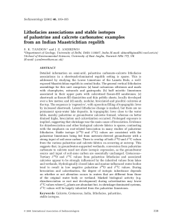 Lithofacies associations and stable isotopes of palustrine and