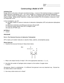 Constructing a Model of ATP
