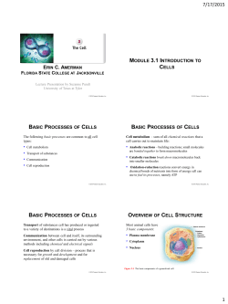 Chapter 3 PowerPoint Slides PDF - CM