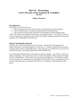 Biol 119 &ndash; Herpetology Lab 9: Diversity of the