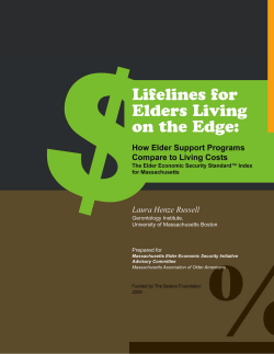 Lifelines for Elders Living on the Edge: How Elder Support Programs