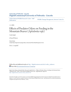 Effects of Predator Odors on Feeding in the Mountain Beaver