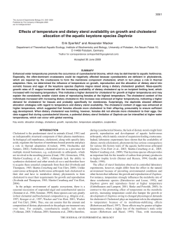 Effects of temperature and dietary sterol availability on growth and