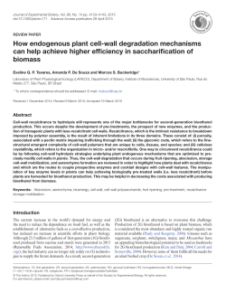 How endogenous plant cell-wall degradation