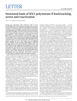 Structural basis of RNA polymerase II backtracking, arrest and