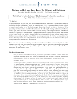 Nothing as Holy as a Tree: Trees, Tu BiSh`vat, and Halakhah