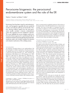 the peroxisomal endomembrane system and the role of the ER