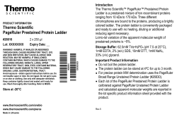 PageRuler Prestained Protein Ladder, #26616